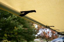 Load image into Gallery viewer, Timber Ridge® Sunrift SUV Awning
